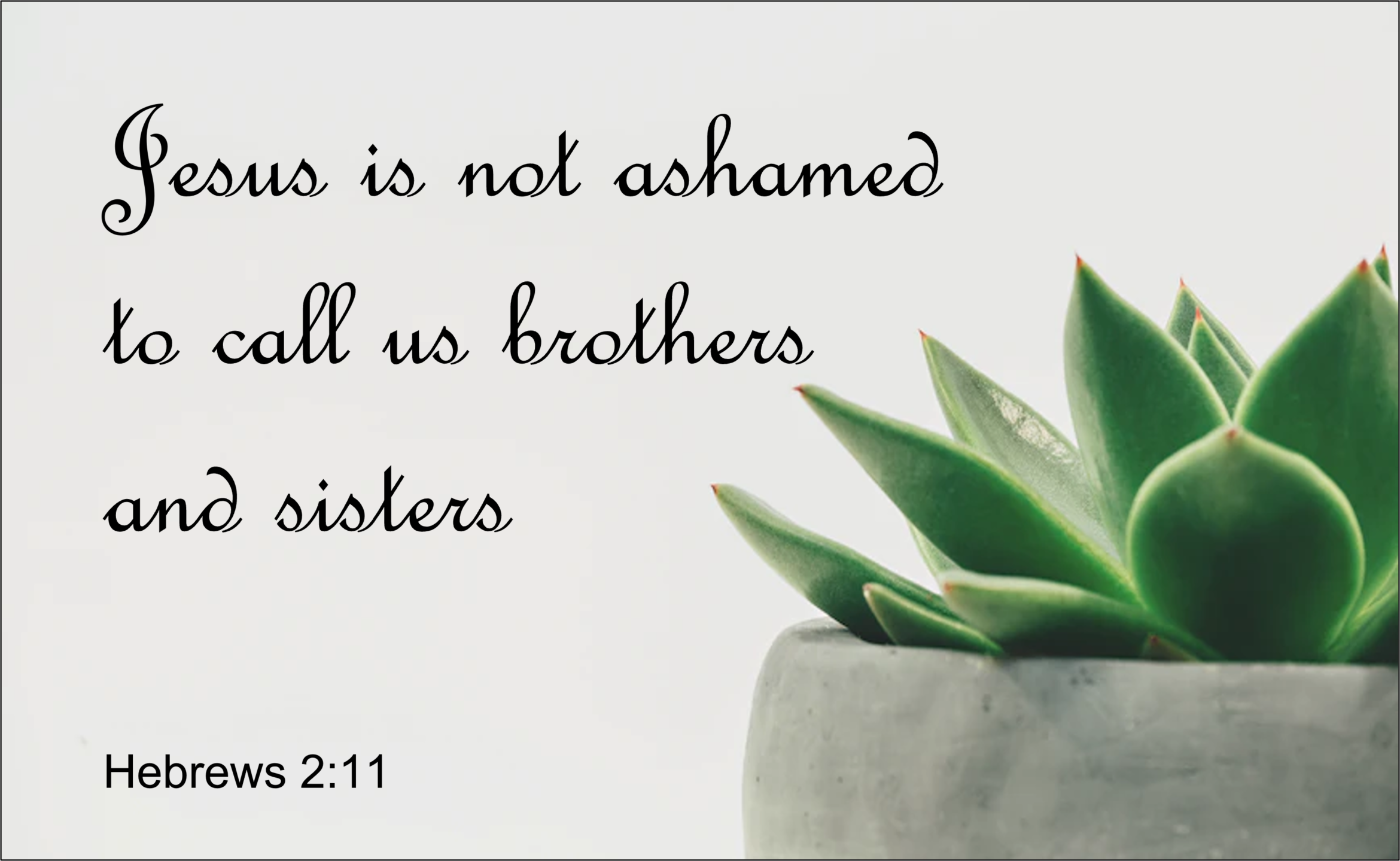 Hebrews-2.11-Brothers-sisters.png