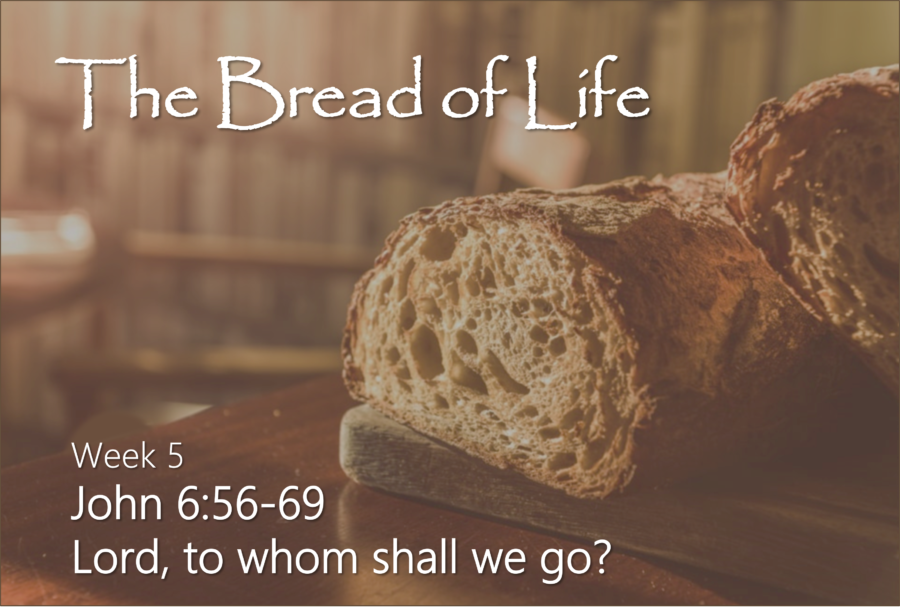 John-Bread-of-life-Wk5-e1629600763519.png